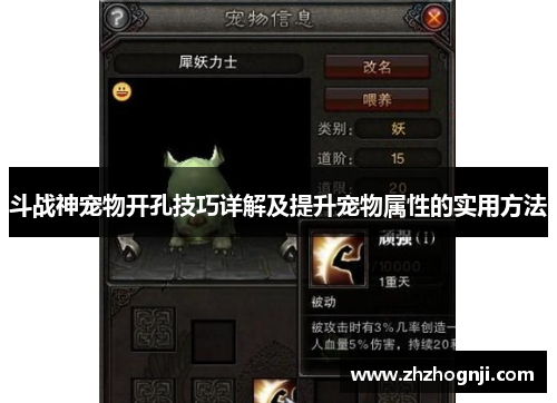斗战神宠物开孔技巧详解及提升宠物属性的实用方法