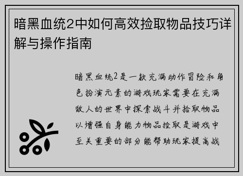 暗黑血统2中如何高效捡取物品技巧详解与操作指南